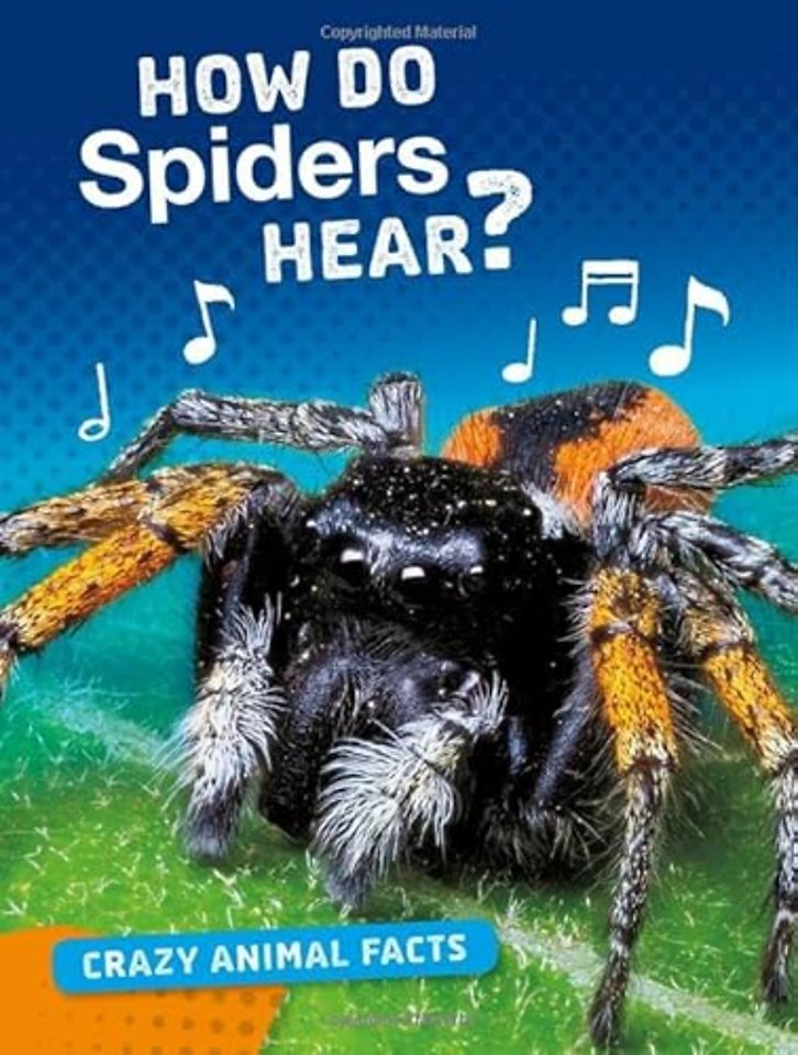 How Do Spiders Hear?