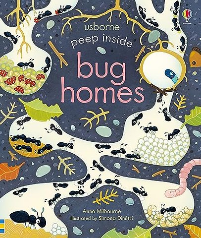 Peep Inside Bug Homes