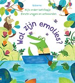 Wat zijn emoties?
