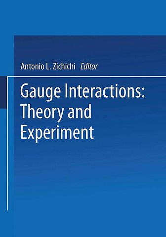 Gauge Interactions