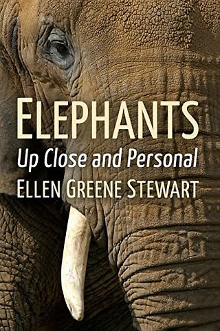 Elephants