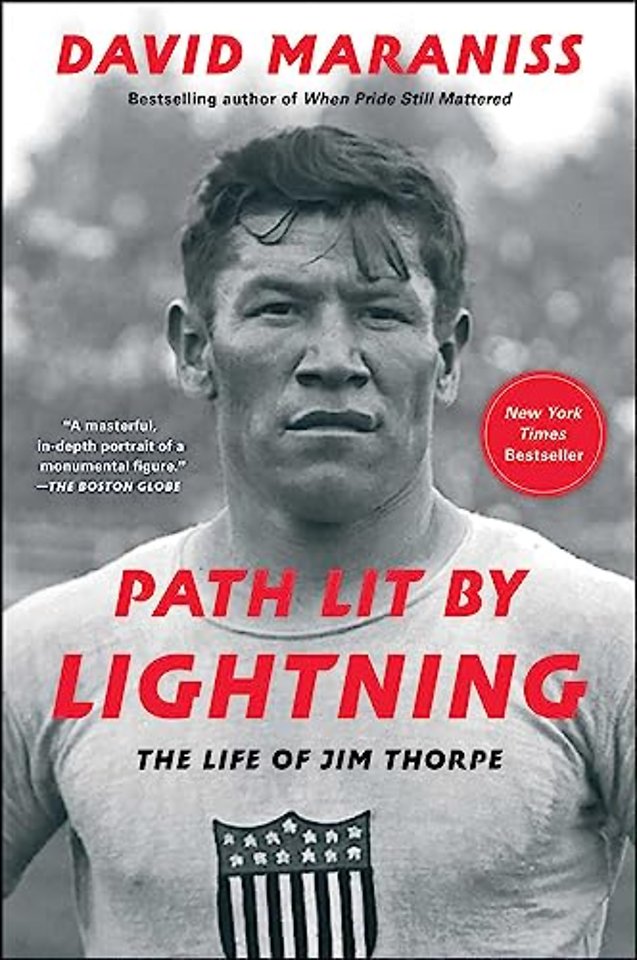 Path Lit by Lightning
