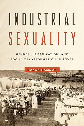 Industrial Sexuality – Gender, Urbanization, and Social Transformation in Egypt