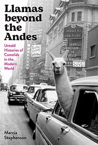 Llamas Beyond the Andes – Untold Histories of Camelids in the Modern World