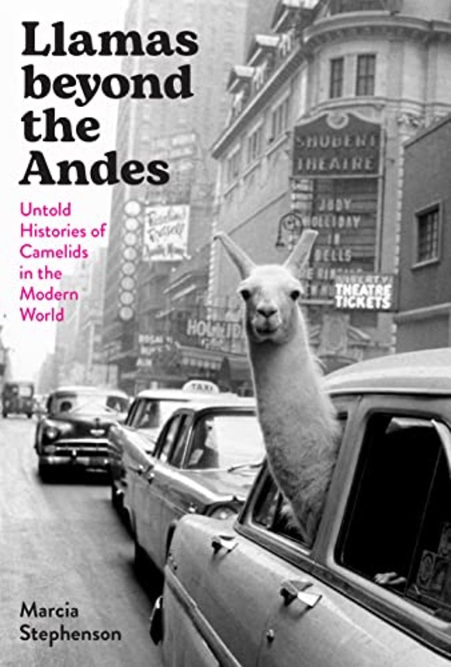 Llamas Beyond the Andes – Untold Histories of Camelids in the Modern World