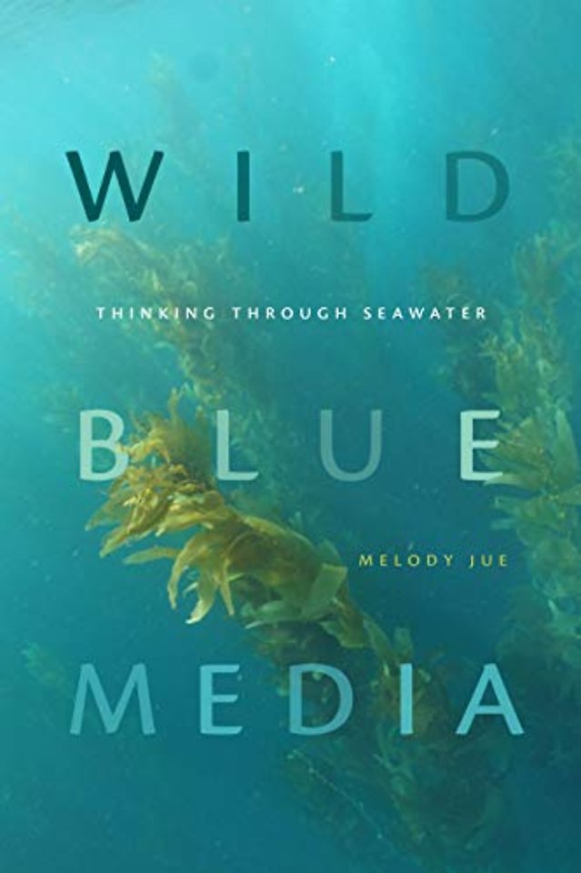 Wild Blue Media – Thinking Through Seawater