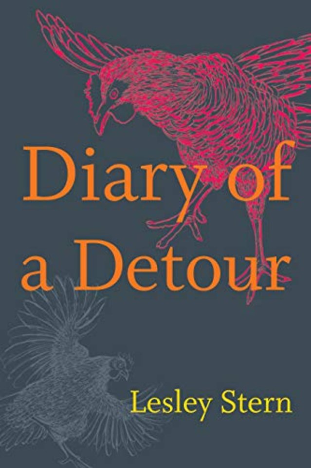 Diary of a Detour