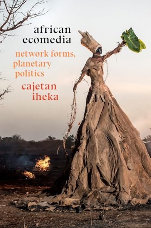 African Ecomedia – Network Forms, Planetary Politics