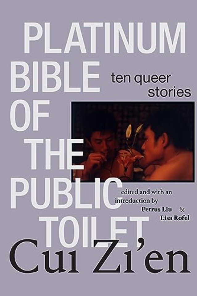 Platinum Bible of the Public Toilet – Ten Queer Stories