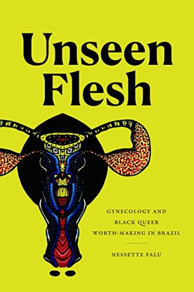 Unseen Flesh – Gynecology and Black Queer Worth–Making in Brazil