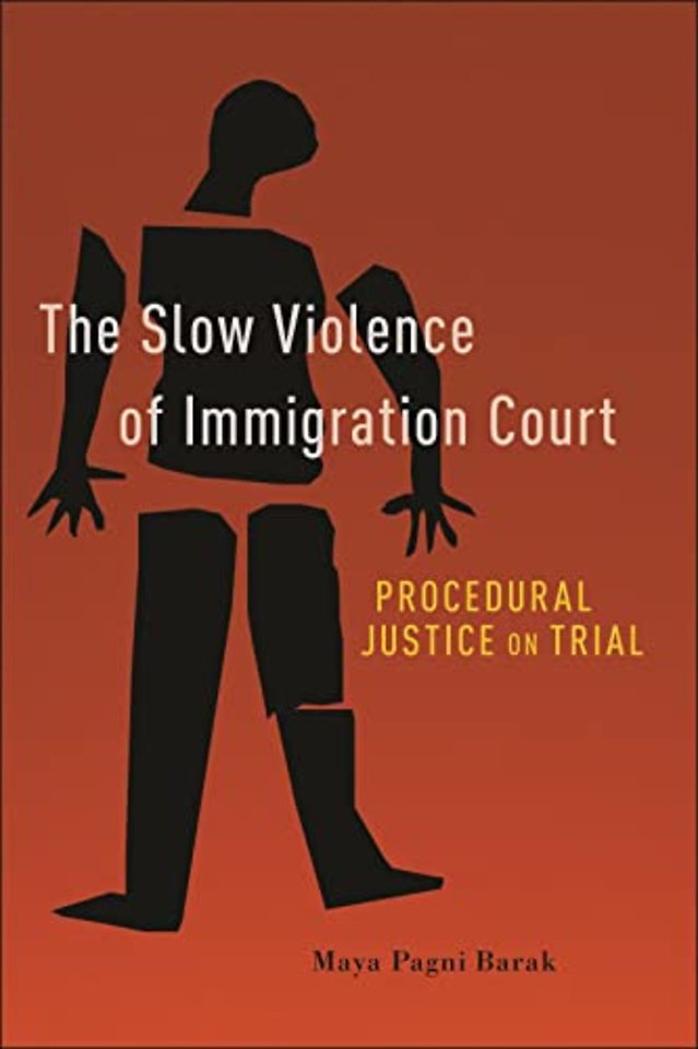 The Slow Violence of Immigration Court – Procedural Justice on Trial
