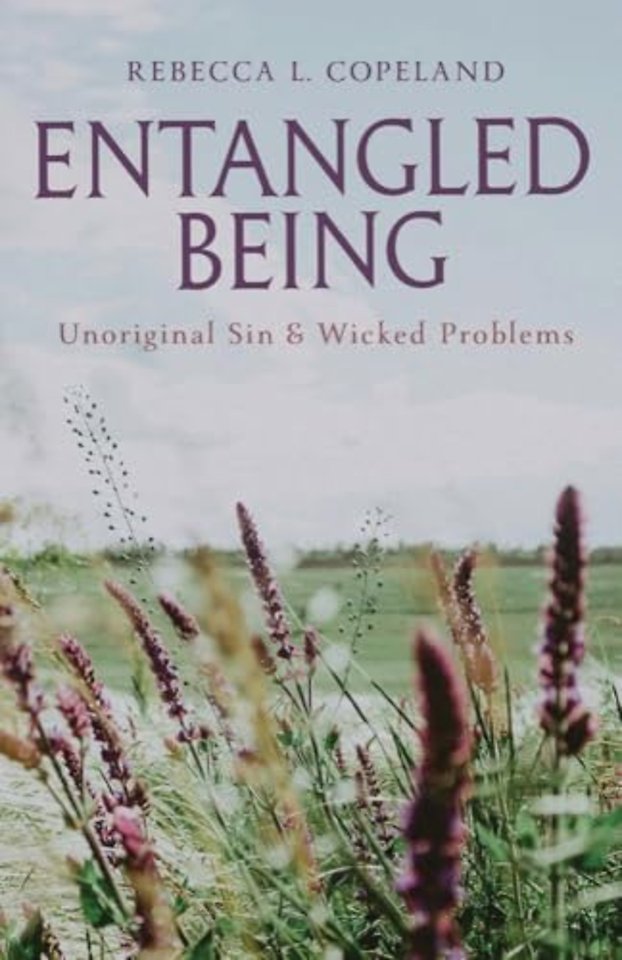 Entangled Being – Unoriginal Sin and Wicked Problems