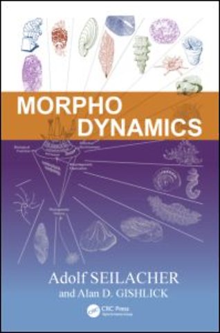 Morphodynamics