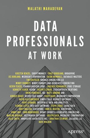 Data Professionals at Work