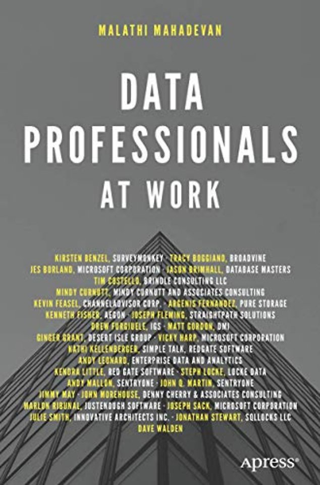 Data Professionals at Work