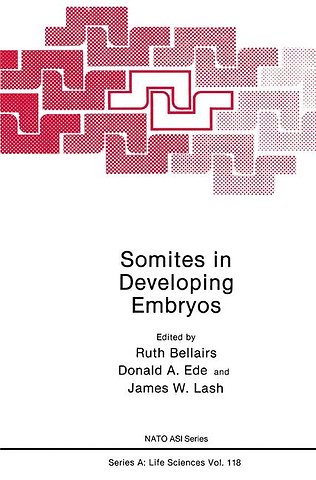 Somites in Developing Embryos