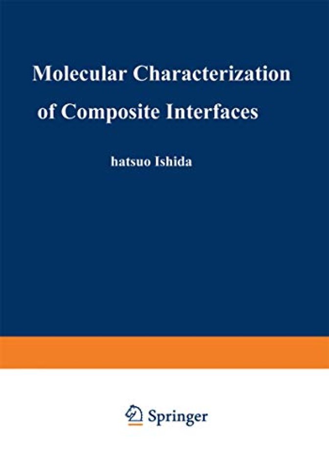 Molecular Characterization of Composite Interfaces