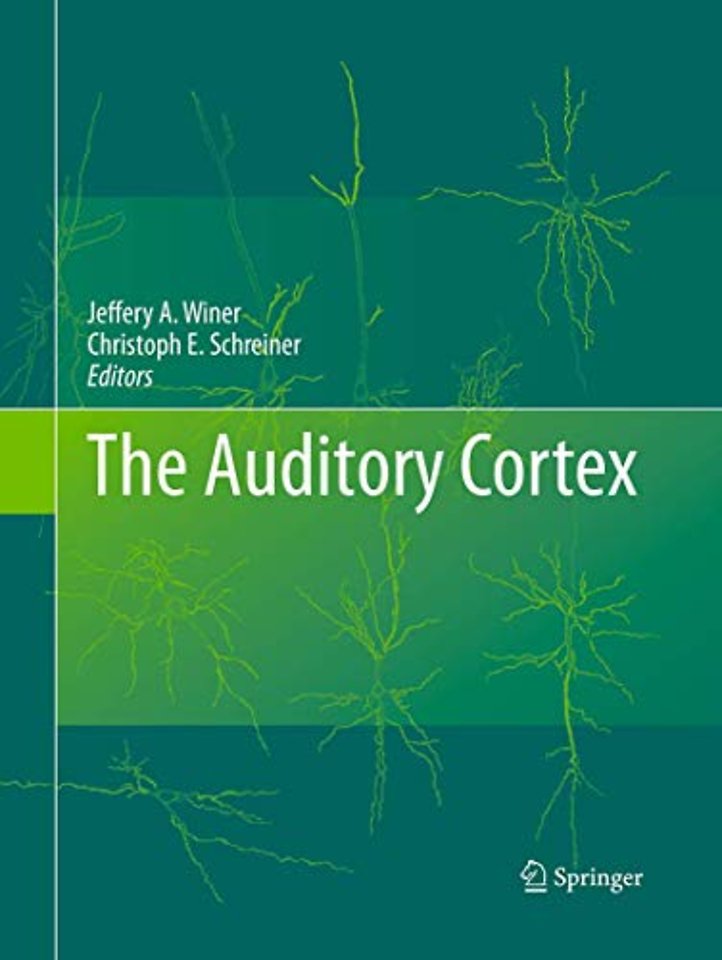 The Auditory Cortex