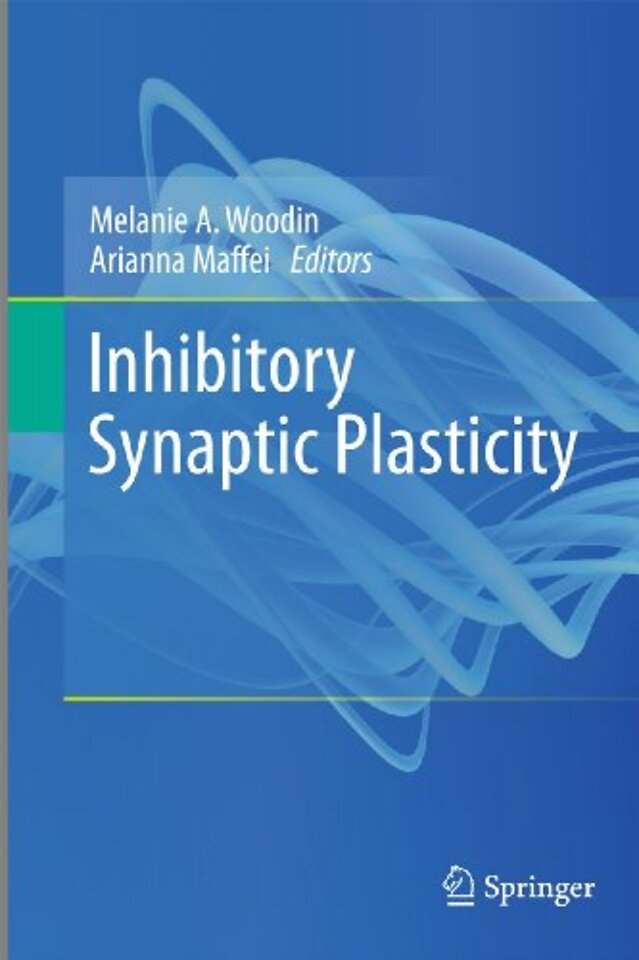 Inhibitory Synaptic Plasticity