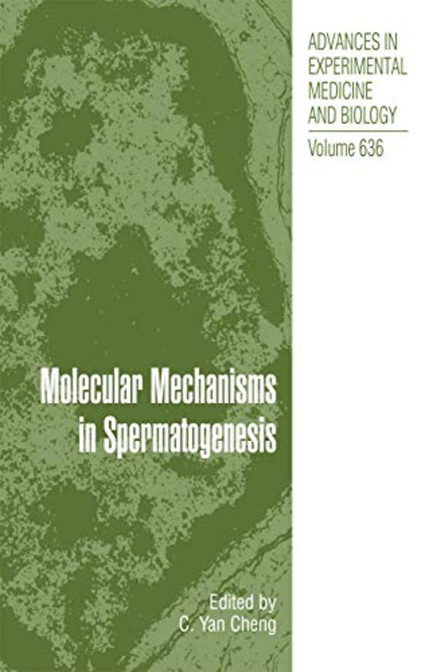 Molecular Mechanisms in Spermatogenesis