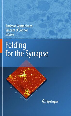 Folding for the Synapse