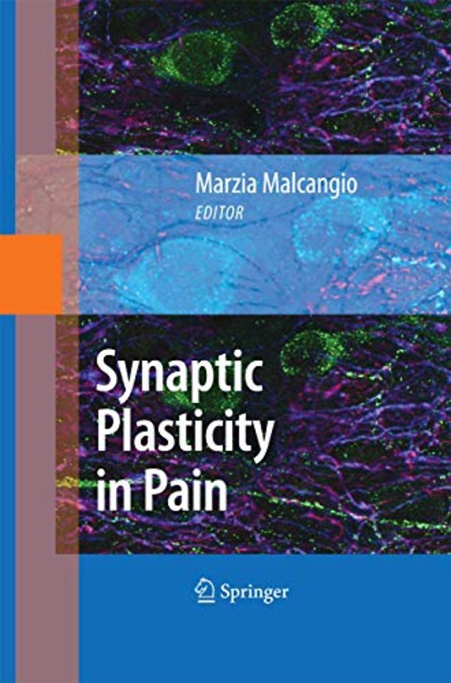 Synaptic Plasticity in Pain