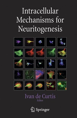 Intracellular Mechanisms for Neuritogenesis