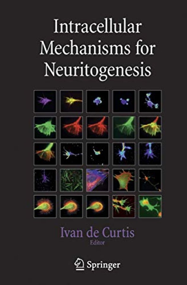Intracellular Mechanisms for Neuritogenesis