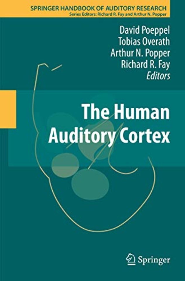 The Human Auditory Cortex