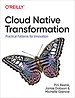Cloud Native Transformation