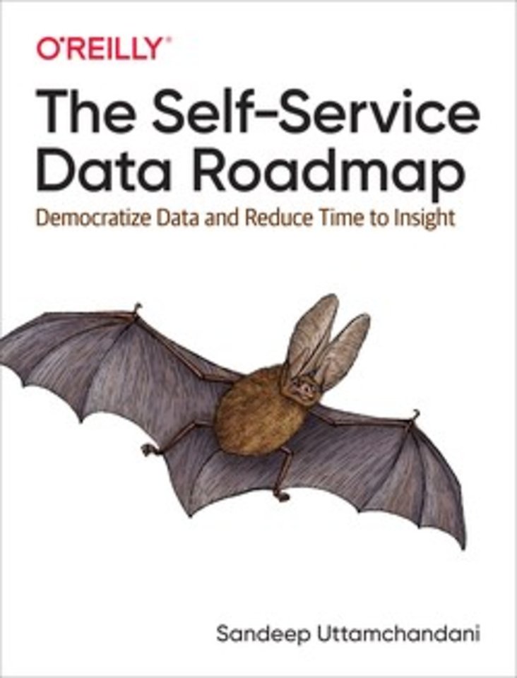 The Self–Service Data Roadmap