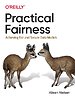 Practical Fairness