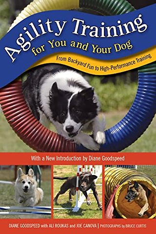 Agility Training for You and Your Dog
