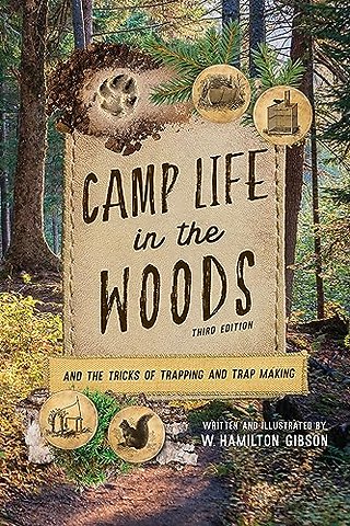 Camp Life in the Woods
