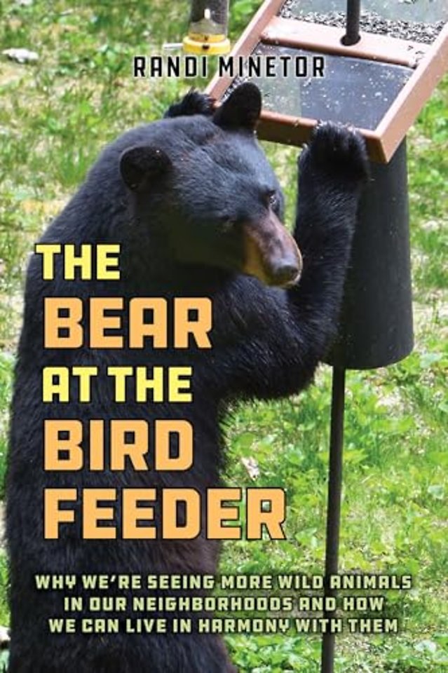 The Bear at the Bird Feeder