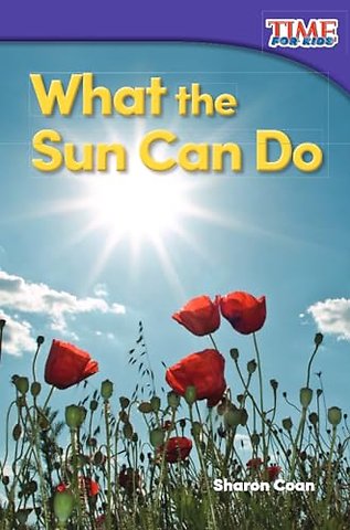 What the Sun Can Do