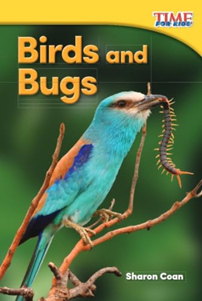 Birds and Bugs
