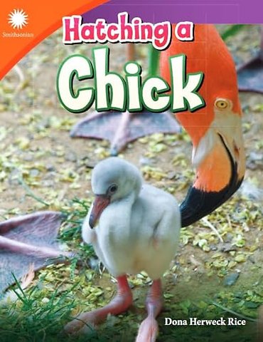 Hatching a Chick