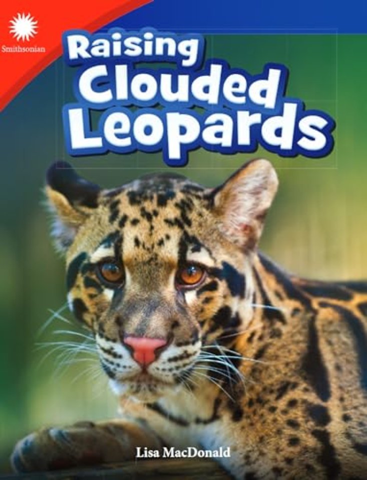 Raising Clouded Leopards