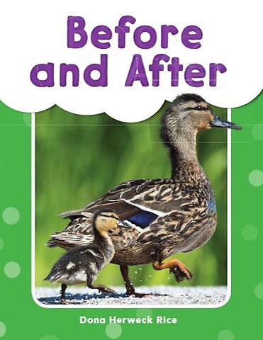 Before and After