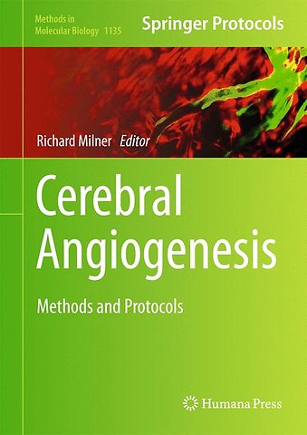 Cerebral Angiogenesis