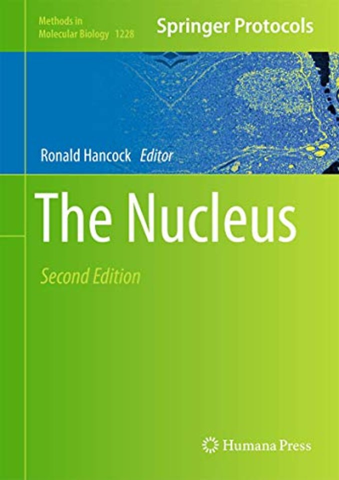 The Nucleus