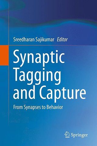 Synaptic Tagging and Capture