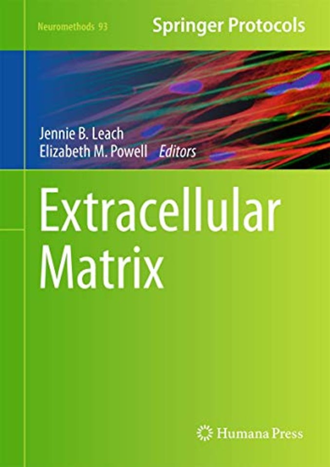Extracellular Matrix