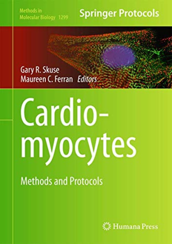 Cardiomyocytes