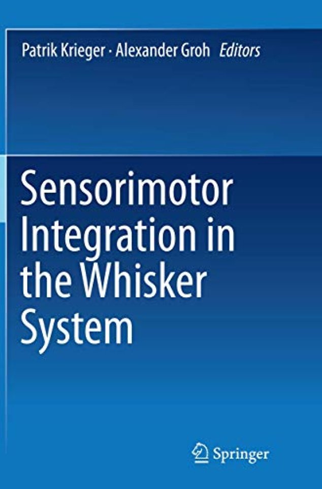 Sensorimotor Integration in the Whisker System