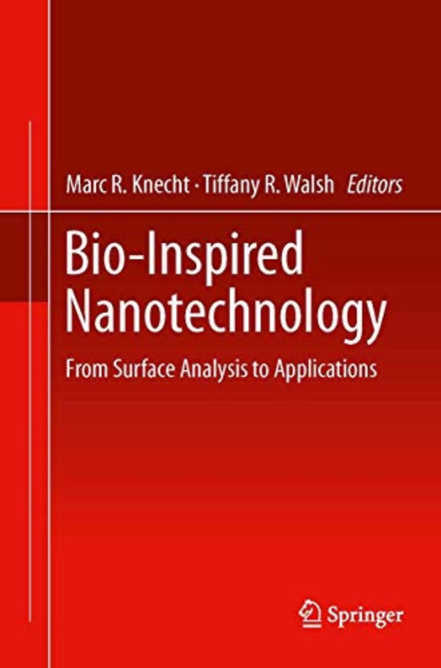 Bio-Inspired Nanotechnology