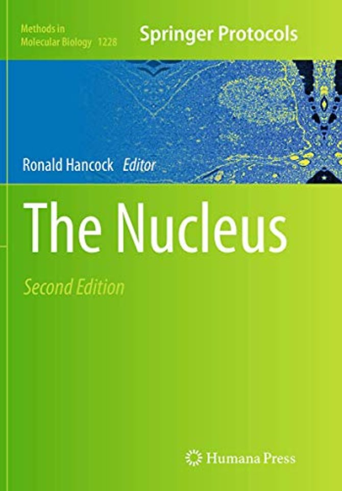 The Nucleus
