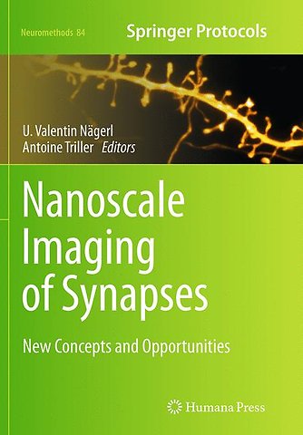 Nanoscale Imaging of Synapses