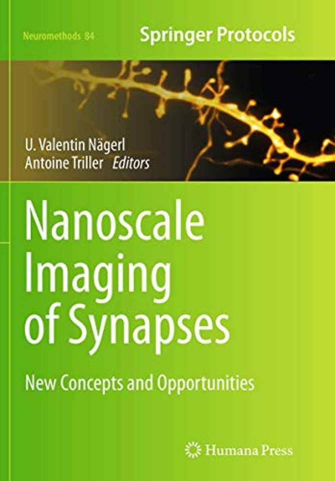 Nanoscale Imaging of Synapses